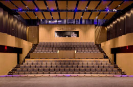 罗伊·格林剧院的照片，从舞台上看向座位