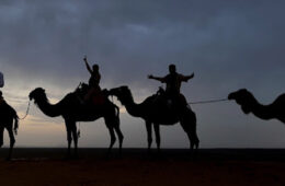 四个人骑在骆驼上的剪影照片