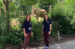 莫拉·普罗西克和凯琳·坦南特在动物园一头大象前合影的照片